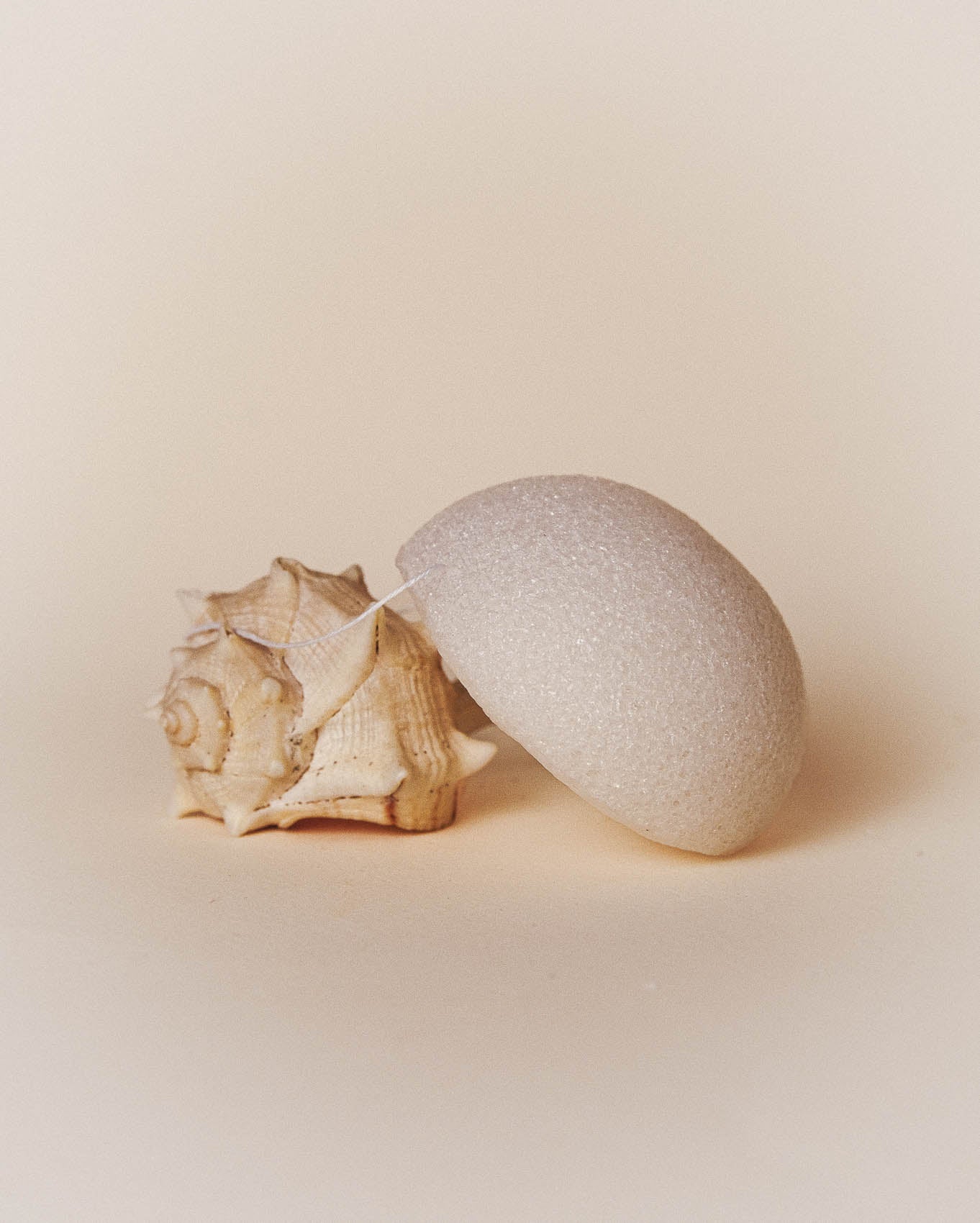 absolution-visage-l-eponge-konjac-gesichtsschwamm-natur-2 image 3