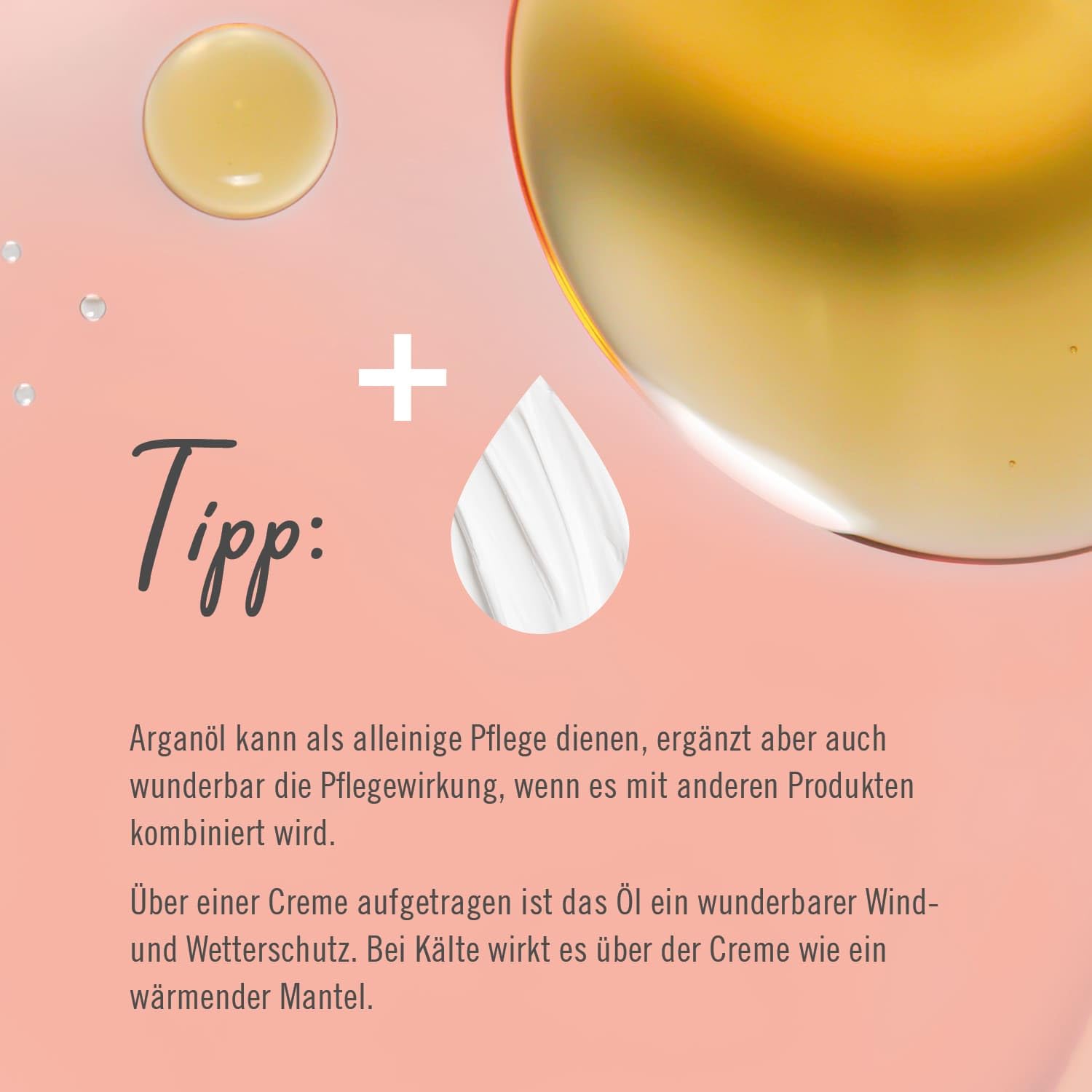 arya-laya-argan-beauty-oil-gesichts-l-argan-l-bio-30-ml image 5