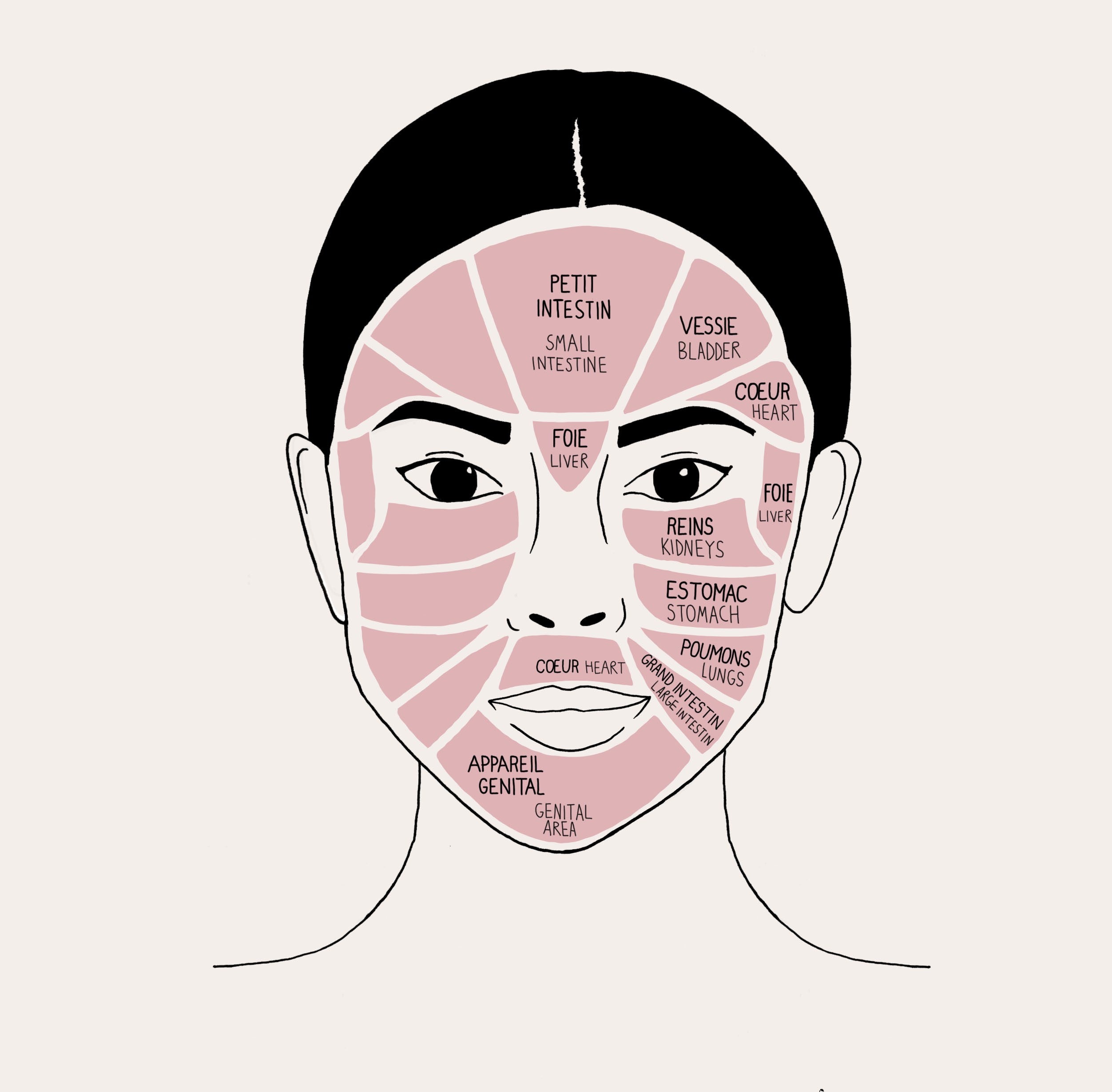 absolution-visage-le-stylet-pr-cision-gesichtstool-akupressur image 3