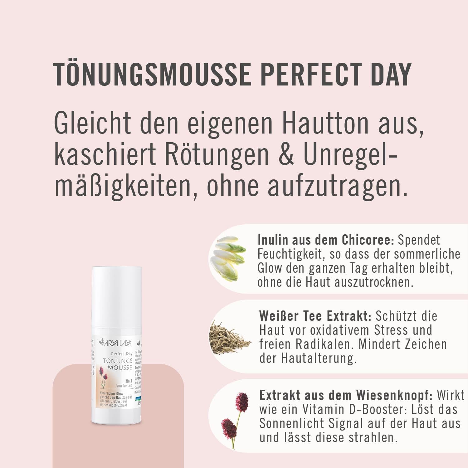 arya-laya-rose-perfect-day-t-nungsmousse-no-1-30-ml-hell image 3